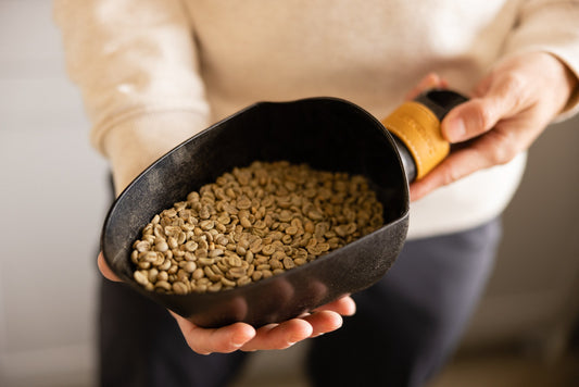 Green Coffee Beans