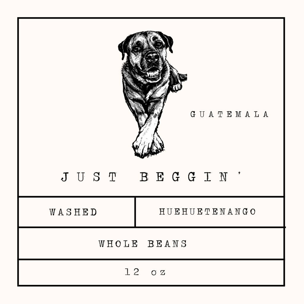 JUST BEGGIN - Guatemala - Single Origin - BrownDog  Coffee Roasters