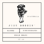 JUST BEGGIN - Guatemala - Single Origin - BrownDog  Coffee Roasters