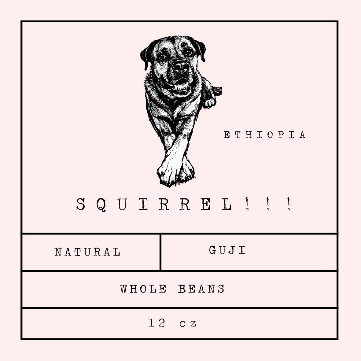 SQUIRREL - Ethiopia - Single Origin