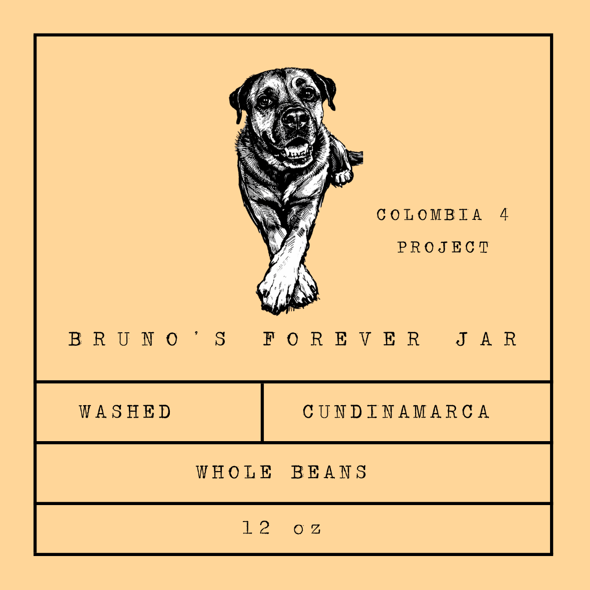 BRUNO'S FOREVER JAR - Colombia 4 Project - Single Origin