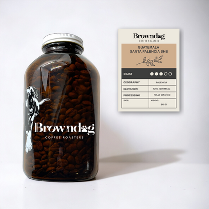 Browndog Roasting - Guatemala Blend - Bonney lake 12oz - coffee - Browndog Coffee Roasters 
