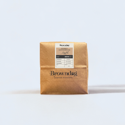 Browndog Roasting - Guatemala Blend - Bonney lake 12oz - Compostable Bag - Coffee - Browndog Coffee Roasters 