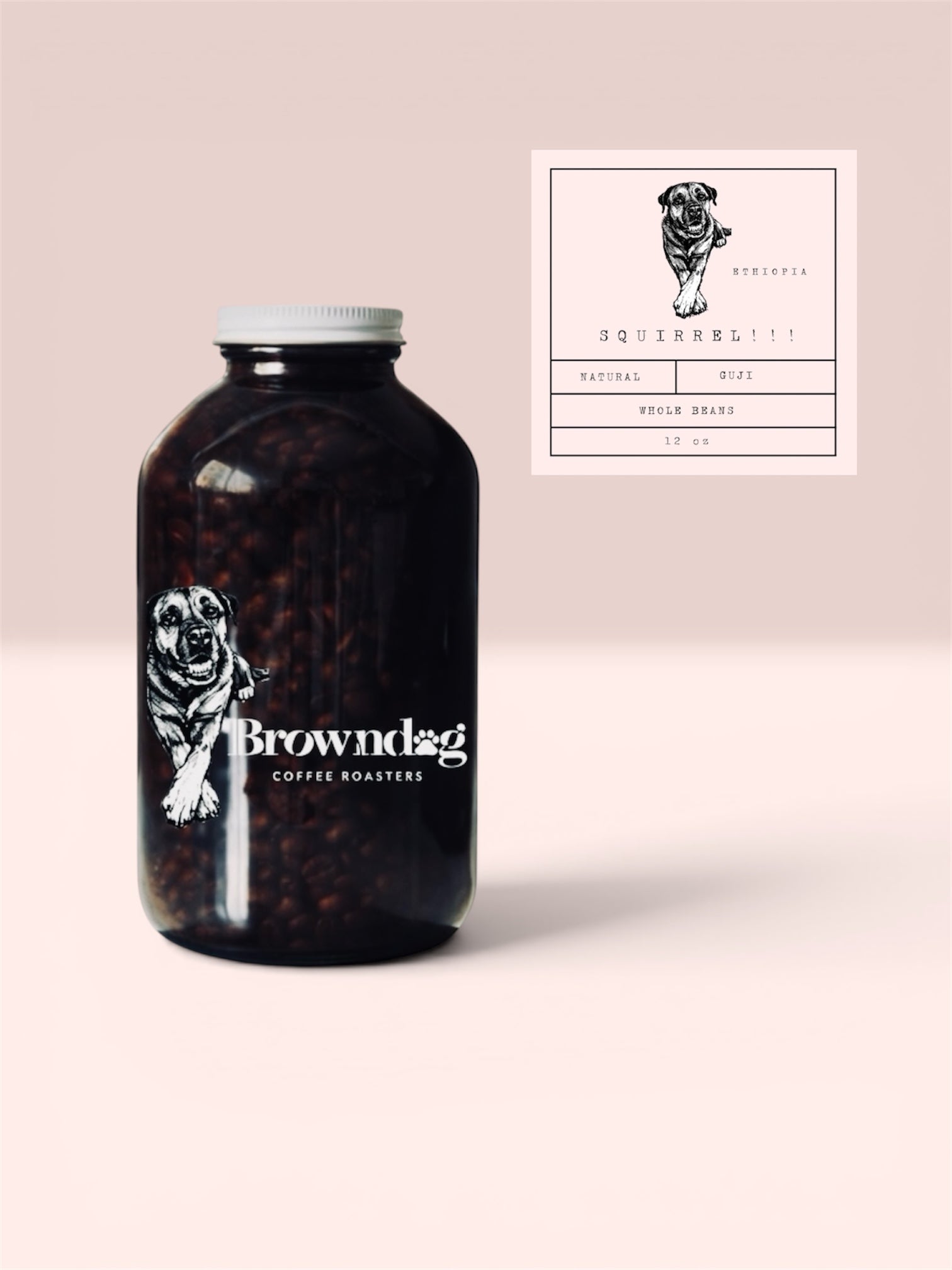 SQUIRREL - Ethiopia - Single Origin